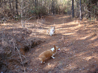 Lily and Toni exploring a trail